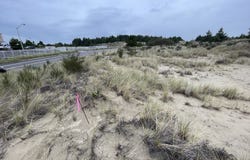 PACIFIC VIEW Dr, Florence, OR 97439