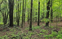 Gospel Hill Road, Oxford, NY 13830