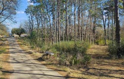 2808 Carroll Ave, Kilgore, TX 75662