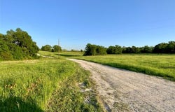 4180 FM 3371, Thornton, TX 76687