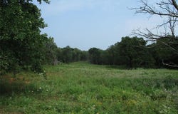 Tr 1 Hoffman Road, Loving, TX 76460
