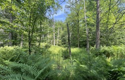 Ny-22, Austerlitz, NY 12017