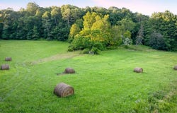 36900 Lower Clearfork Road, Cadiz, OH 43907