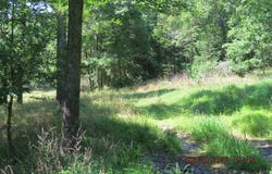 S Highway 170 lot: 2, West Fork, AR 72774