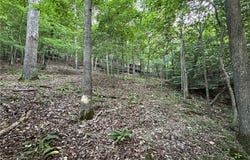 County Road 152 and County Road 1524 lot: T 2, Eureka Springs, AR 72632