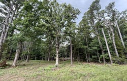 W Highway 32, Licking, MO 65542