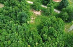 Bauguess Mill Road, Traphill, NC 28685