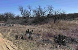 Lot 103 Ridgemont Drive, Kingsland, TX 78639