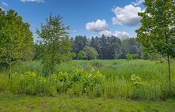 19839 Witt Road, Three Oaks, MI 49128