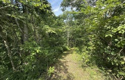 1710 Highway 1952, Columbia, KY 42728