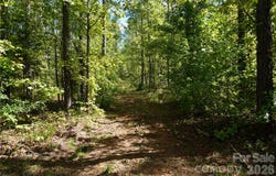 12+/- AC Parson Road, McConnells, SC 29726