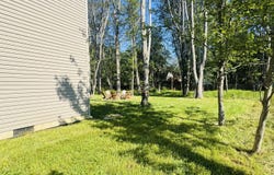 5186 Hummingbird Drive, Pocono Summit, PA 18346