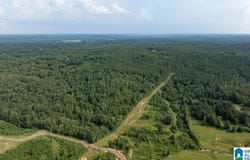 0 WILKERSON ROAD, FAYETTE, AL 35555