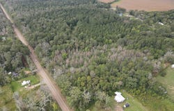 Ms-35, Forest, MS 39074