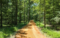 6 Chaseway Drive, Pike Road, AL 36064