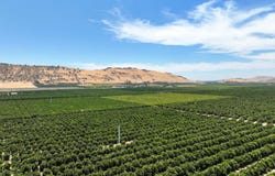 0 Road 136, Orange Cove, CA 93646