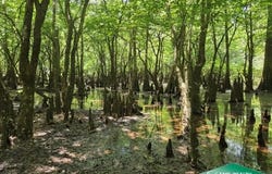 0 Platt Road, Marion, LA 71260