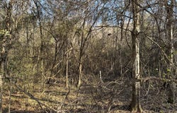 Franklin Street, Summit, MS 39666
