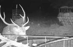 3180 CR 551, Rocksprings, TX 78880