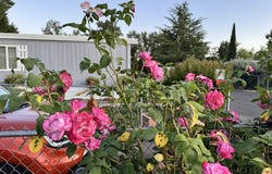 224 Chestnut Lane, Grants Pass, OR 97526