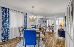 4411 Sea Mist Court, New Smyrna Beach, FL 32169