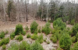 10 Mountain Rd, Mt Washington, MA 01258