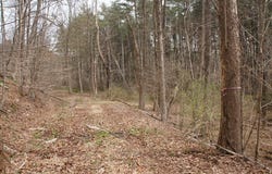 0 Route 87, Dushore, PA 18614
