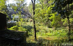 22 Hemlock Drive, Asheville, NC 28806