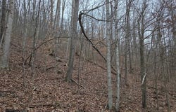 Evans Hollow, Hillsboro, KY 41049