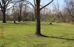 S Caroline Avenue, Bellflower, MO 63333