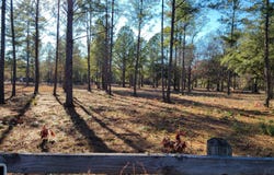 Beaver Dam Road, Ridgeland, SC 29936