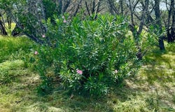 256 Jim Dalrymple Rd, Leakey, TX 78873