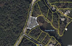 9 GENERAL JACKSON MEMORIAL DRIVE lot: 9, SYLACAUGA, AL 35151