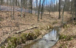 74 Jedware Circle lot: 10-2, Highgate, VT 05459