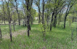 412 S Grand Avenue, Las Vegas, NM 87701