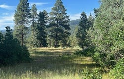 Log Ridge Trail, Chama, NM 87520