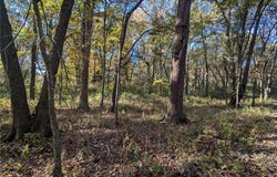0 N Moonbeam, Mount Vernon, IL 62864
