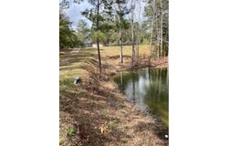 909 Cox Ave., Bainbridge, GA 39819