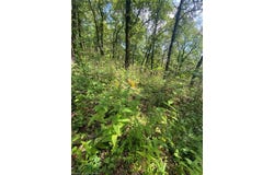 TBD Rural Adair Co., Stilwell, OK 74960