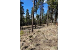 159 Looking E Drive, Somers, MT 59932