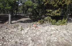 207 VIA SEDILLO Road, Tijeras, NM 87059