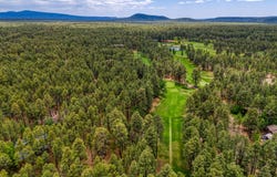 3248 White Oak Drive, Pinetop, AZ 85935