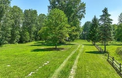 Vacant Land Nicholson Rd, Fowlerville Vlg, MI 48836