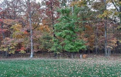12915 SHADY LANE, HILLSBORO, VA 20132