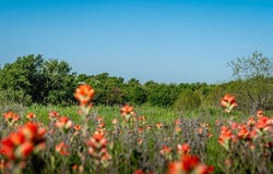1451 Hemming Road, Valley View, TX 76272
