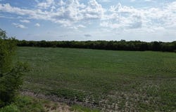 25 Ac FM 3132, Klondike, TX 75448