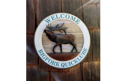 8539 MT Highway 35, Bigfork, MT 59911