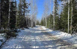 Highway 135, Tower, MN 55790