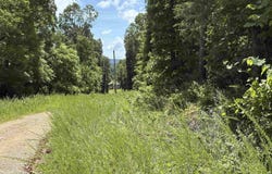 780-01045-000 Saint Clair Trail, Pyatt, AR 72672