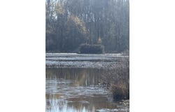 00 Fry Road, Lavinia, TN 38348